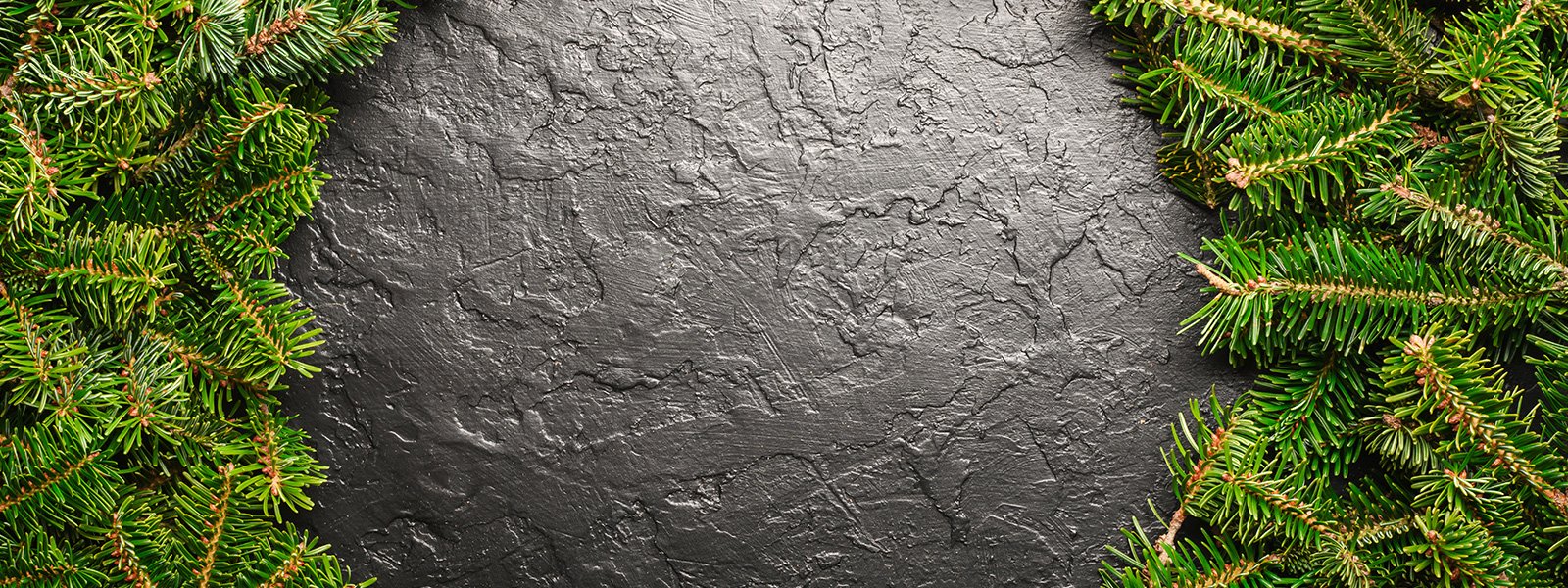 plaque arbres