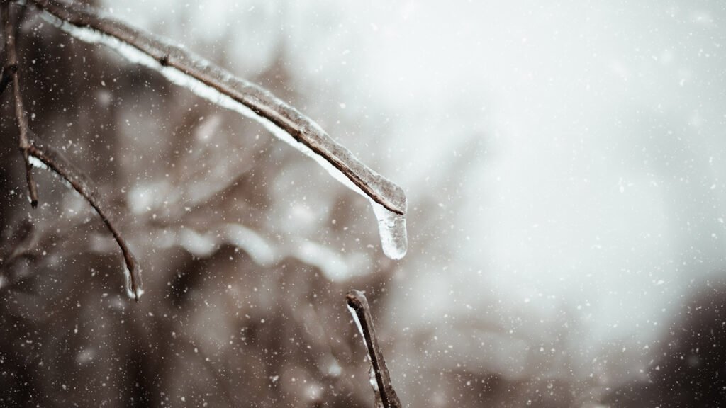 Entretenir une plaque funéraire en hiver : pluie, gel et traces
