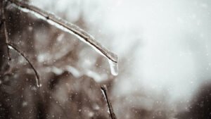 Entretien d&rsquo;une plaque funéraire — Comment la garder comme neuve