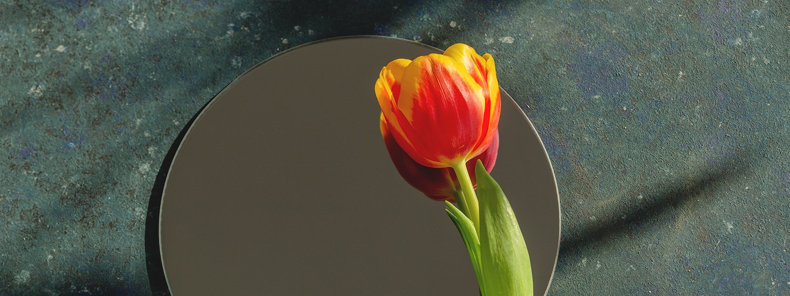 plaque fleurs