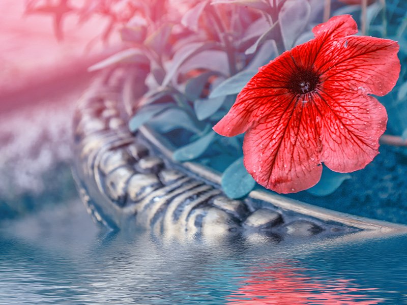 plaque fleurs