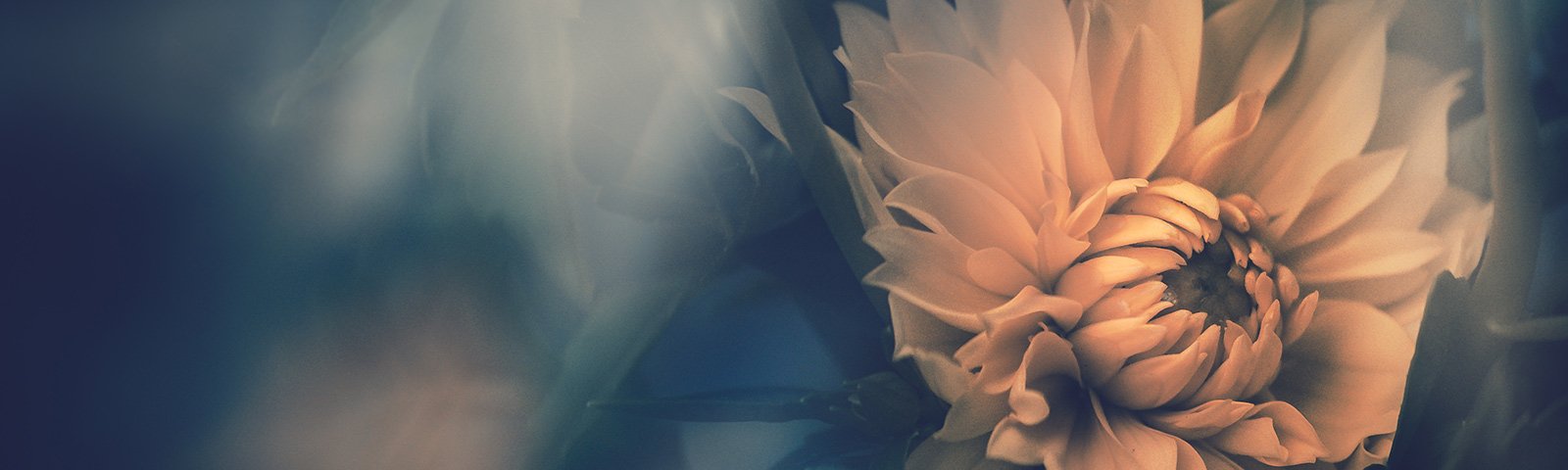 plaque fleurs