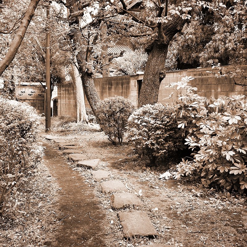 Columbarium et Cavurne — Alternatives à la Sépulture