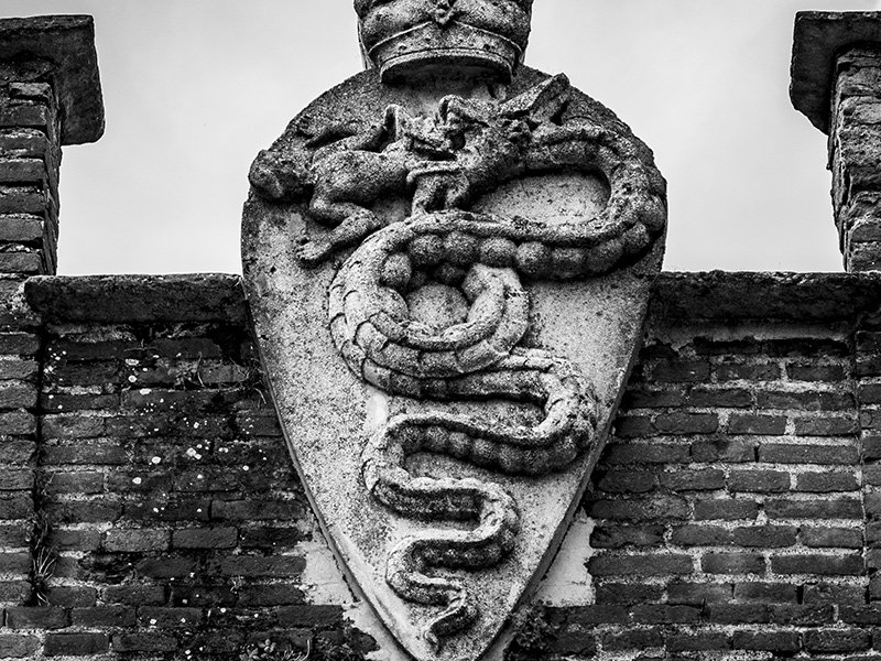 plaque medecin caducee