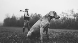 Plaque funéraire chasse : rendre hommage à une passion de vie