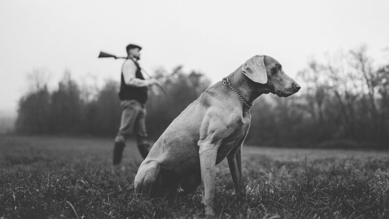 Plaque funéraire chasse : rendre hommage à une passion de vie