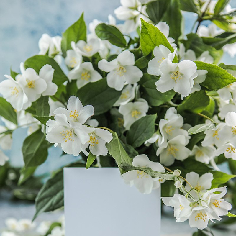 Fleurs de deuil — Signification et choix pour un hommage floral
