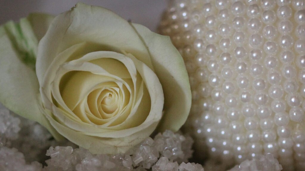 Rose sur une plaque funéraire : amour, souvenir et fidélité