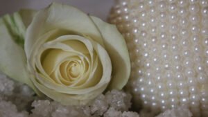 Rose sur une plaque funéraire : amour, souvenir et fidélité