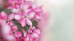 Texte d’hommage pour une mère : exemples doux et sincères