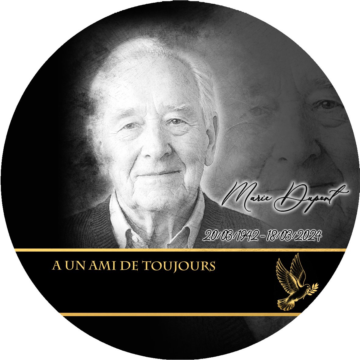 Plaque Circulaire Colombe effet Crayon, ambiance complète portrait + fond