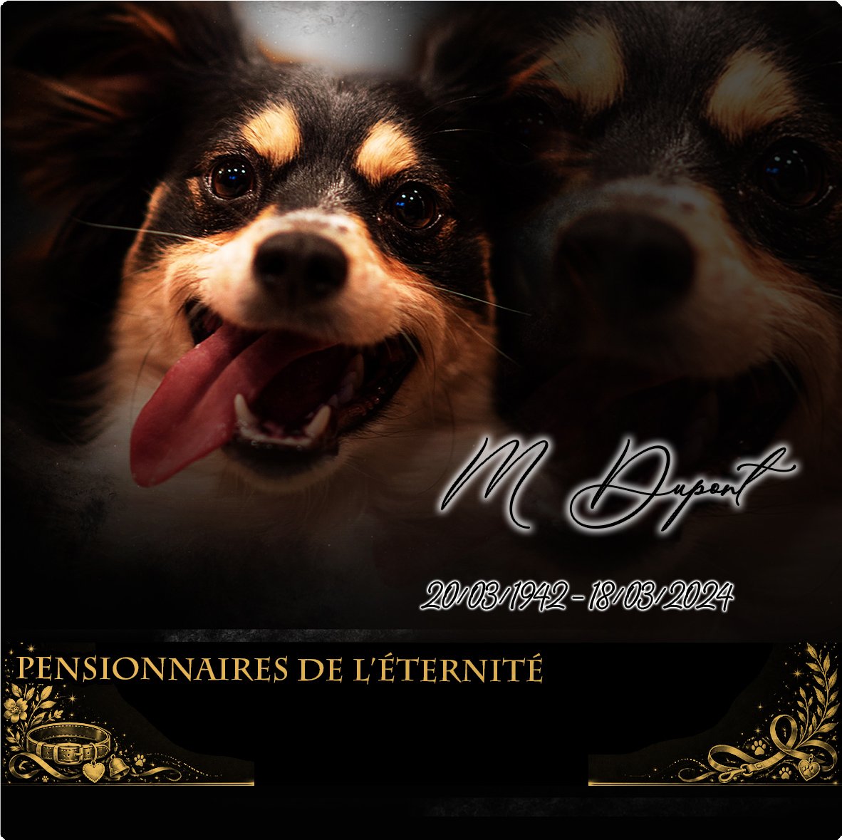 Plaque Carré Animal de compagnie effet Crayon, ambiance complète portrait + fond