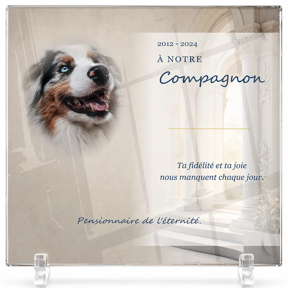 Plaque funéraire carré Animal de compagnie personnalisée — portrait, texte libre et fond au choix, présentée sur pied plexi