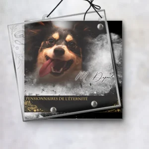 Plaque funéraire carré animal de compagnie suspendue par cordelette, kit de fixation inclus, 1er sous-décor