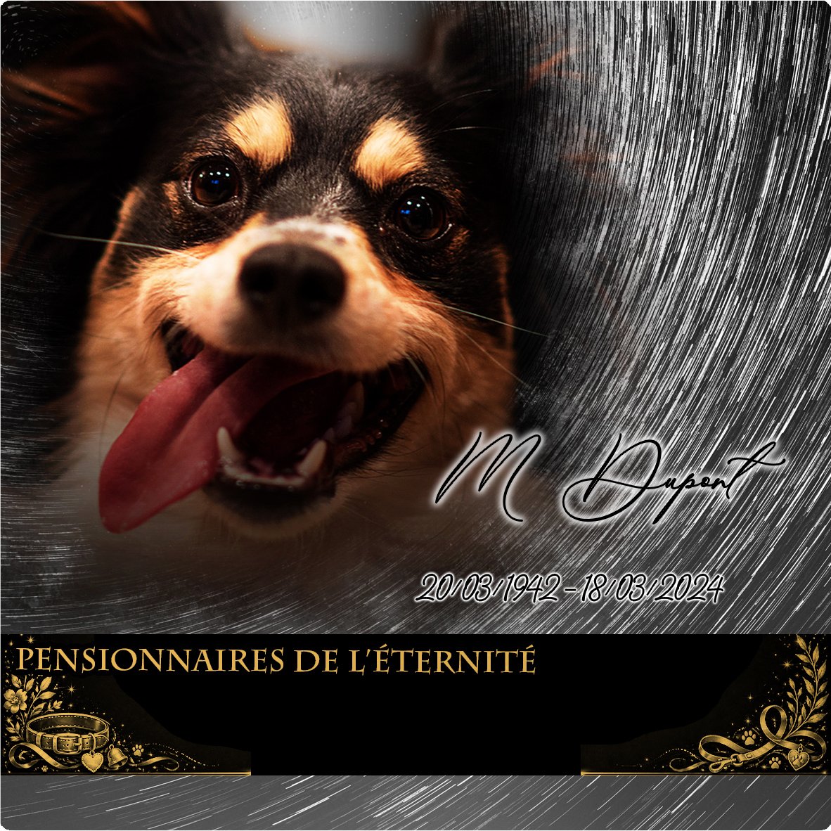 Plaque Carré Animal de compagnie effet Pastel, ambiance complète portrait + fond