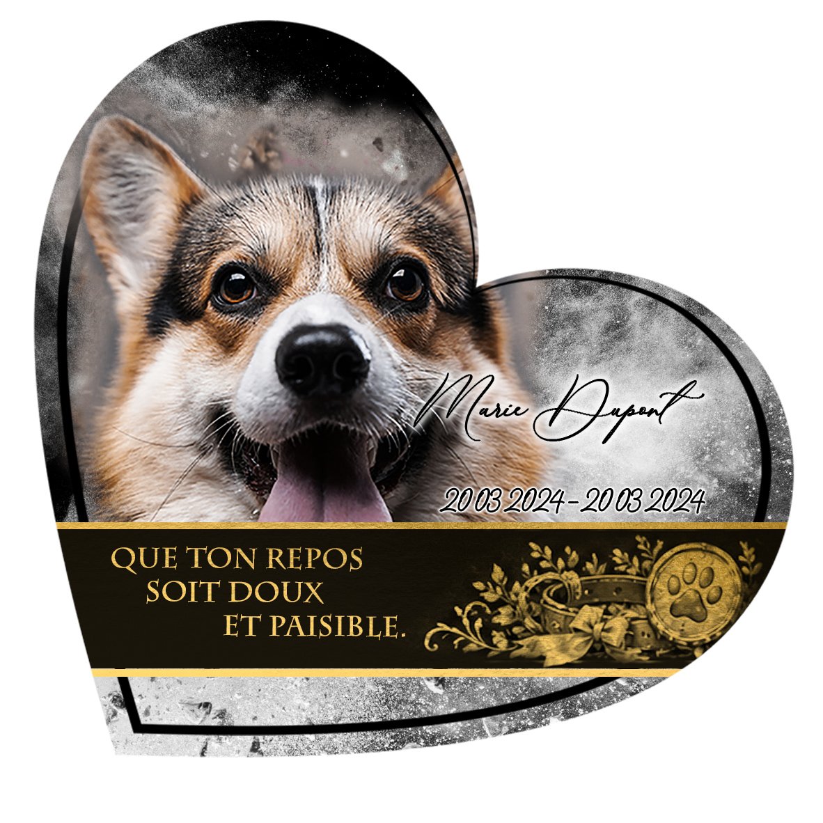 Plaque Cœur Animal de compagnie effet Éclat, ambiance complète portrait + fond