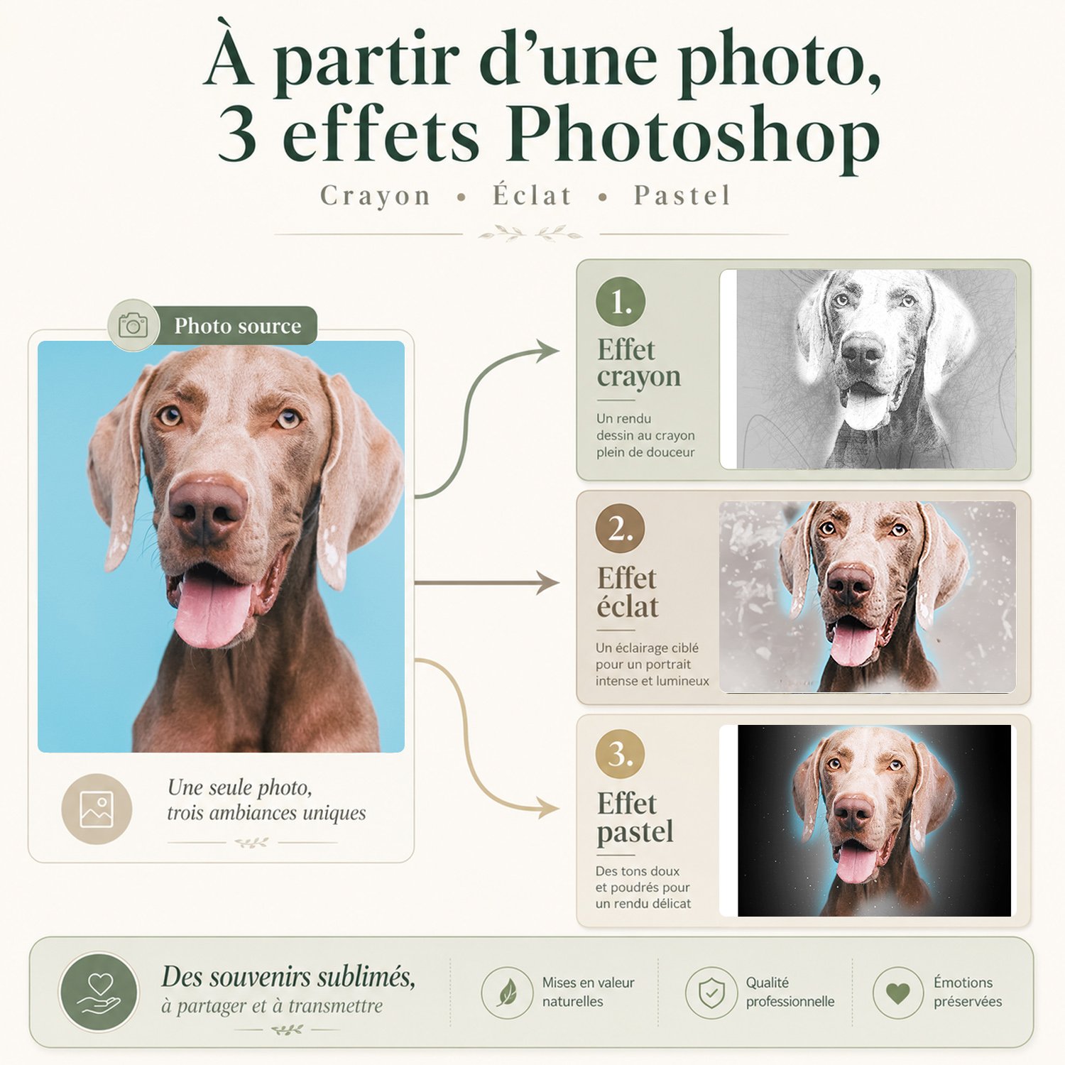 Trois effets photo Pastel, Crayon, Éclat pour plaque Panoramique Animal de compagnie
