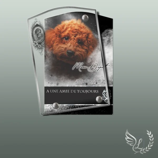 Plaque funéraire rectangle animal de compagnie collée sur pierre tombale, double-face professionnel inclus, 1er sous-décor du thème