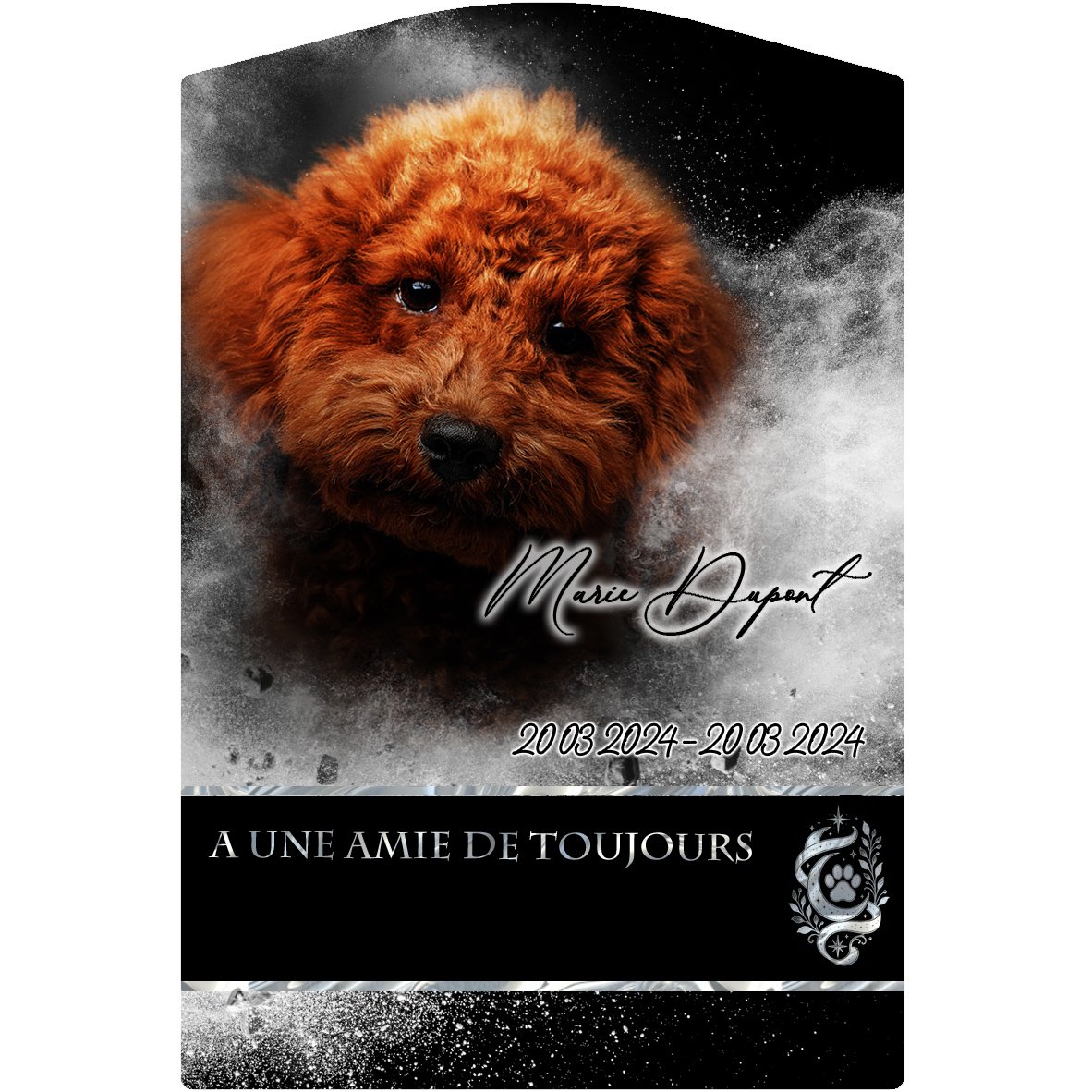 Plaque Stèle Animal de compagnie effet Éclat, ambiance complète portrait + fond