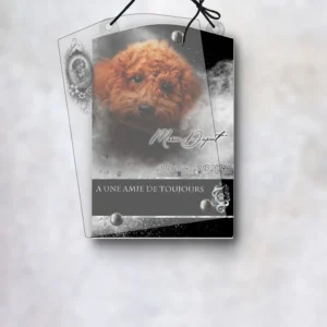 Plaque funéraire rectangle animal de compagnie suspendue par cordelette, kit de fixation inclus, 1er sous-décor