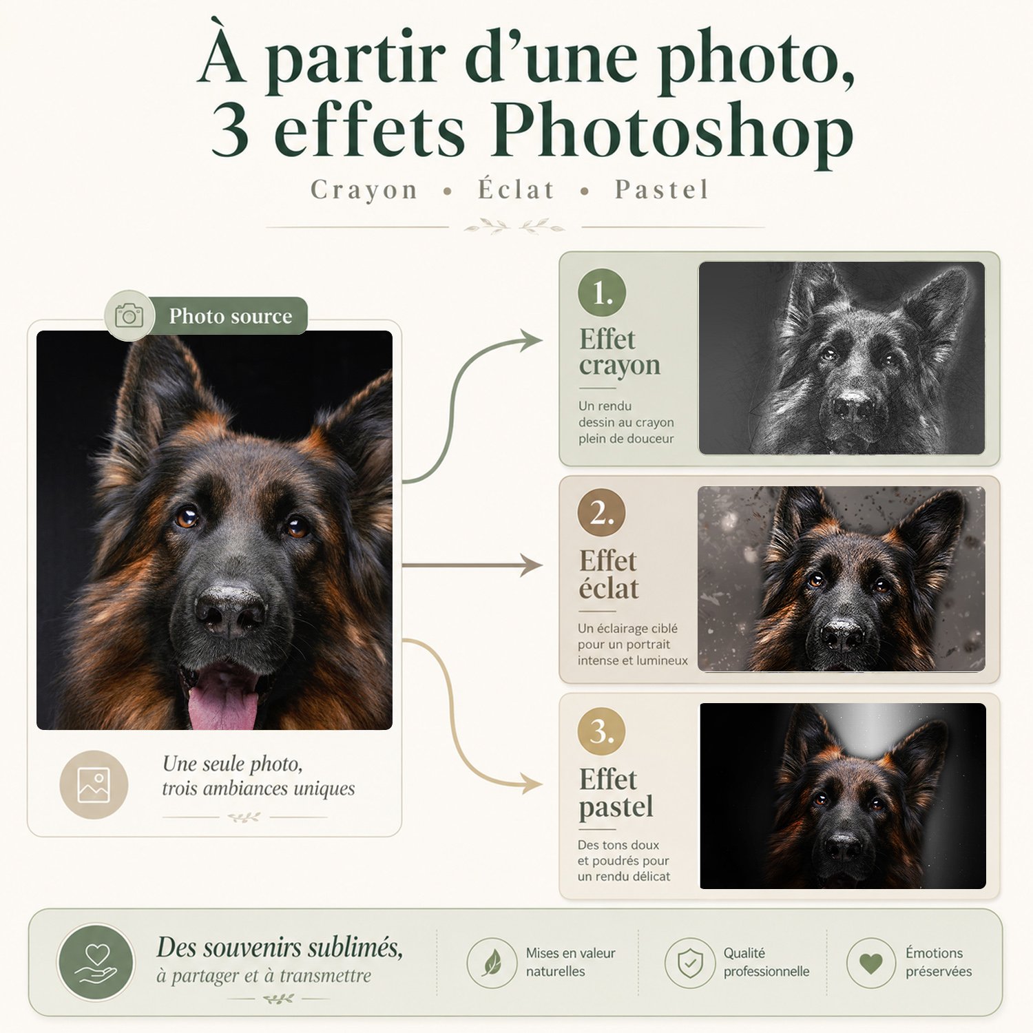 Trois effets photo Pastel, Crayon, Éclat pour plaque Circulaire Animal de compagnie